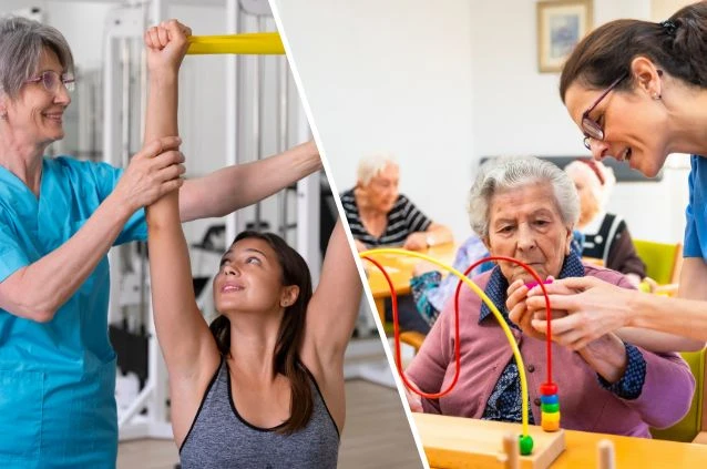 profissionais das áreas de fisioterapia ou terapia ocupacional